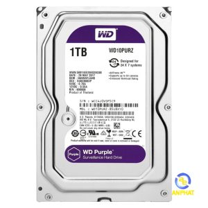 HDD Purple 1TB 3.5"" SATA 3/ 64MB Cache/ 5400RPM (Màu tím)