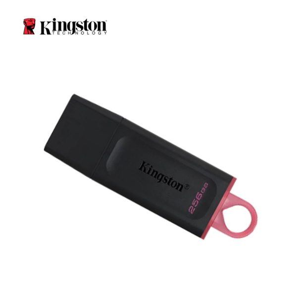 USB KINGSTON 256GB USB 3.2 DataTraveler Exodia_DTX/256GB